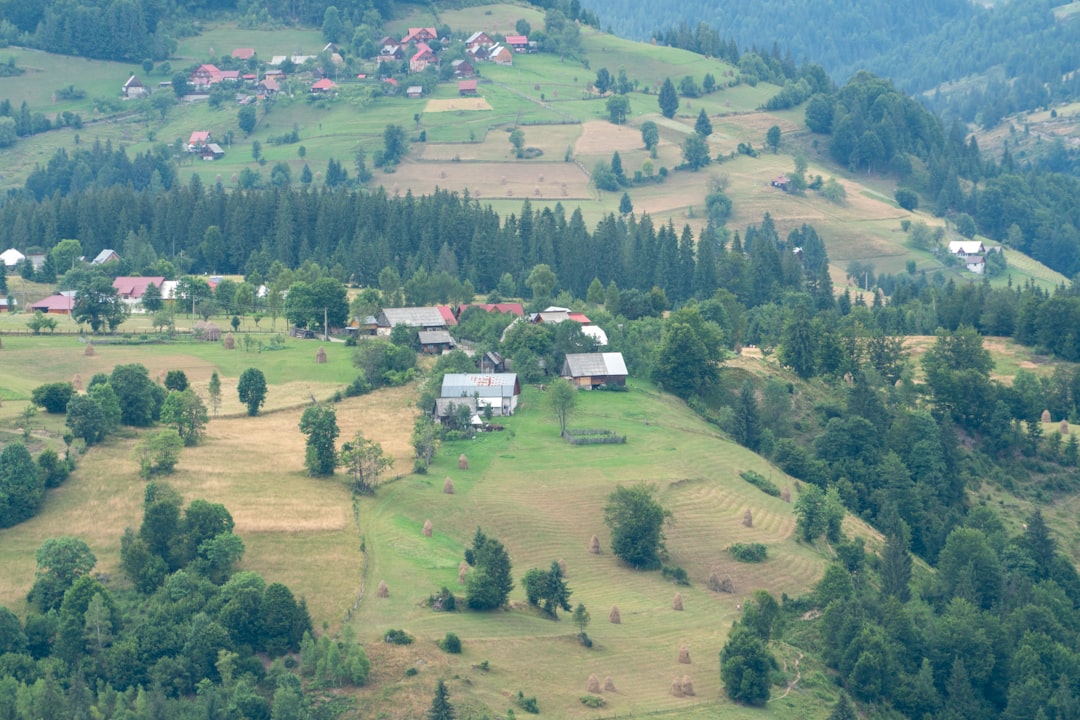 Cum să-ți construiești o viață ordonată