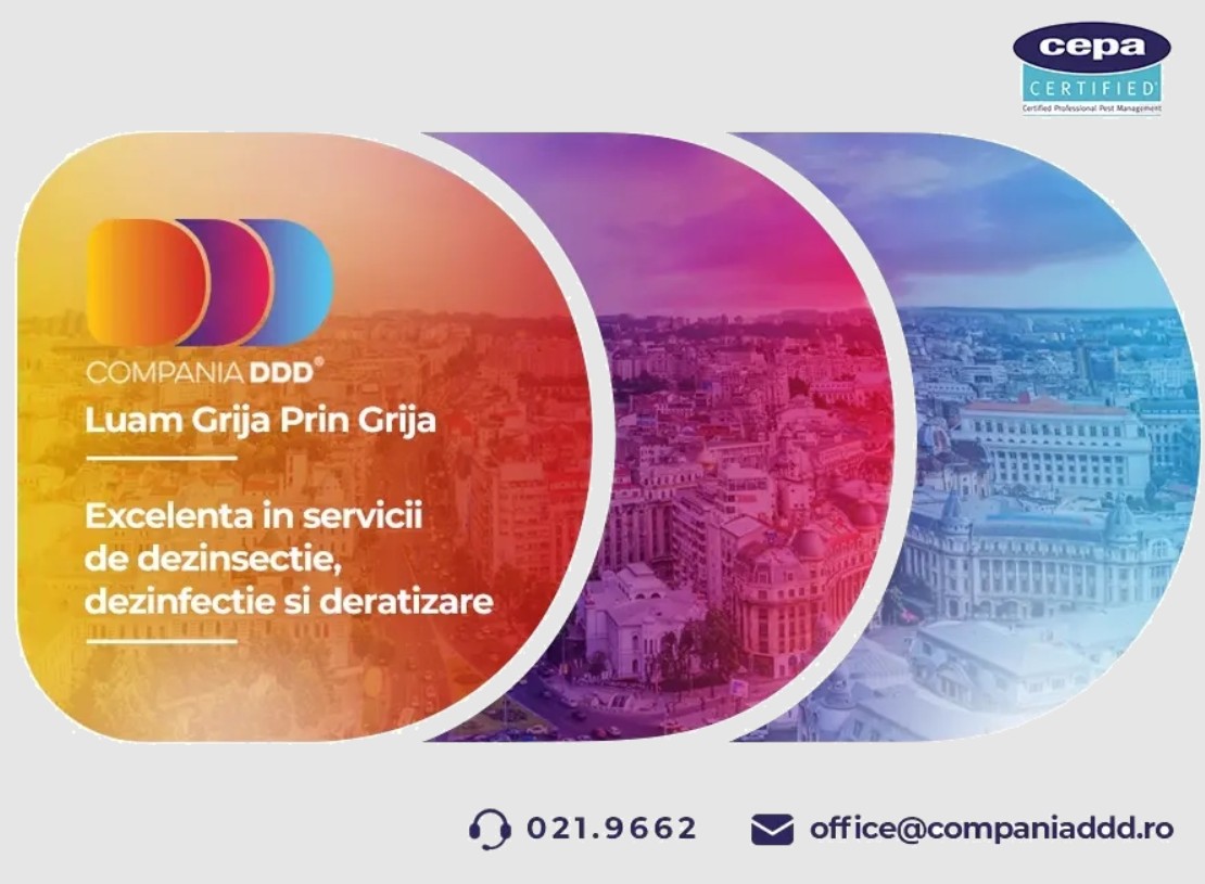 Compania DDD® – Ghid complet despre serviciile DDD în România