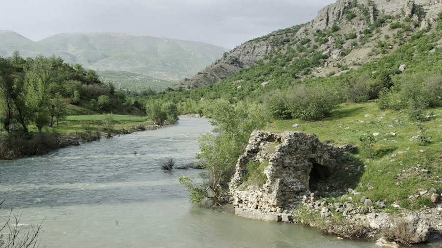 oamenii renunță