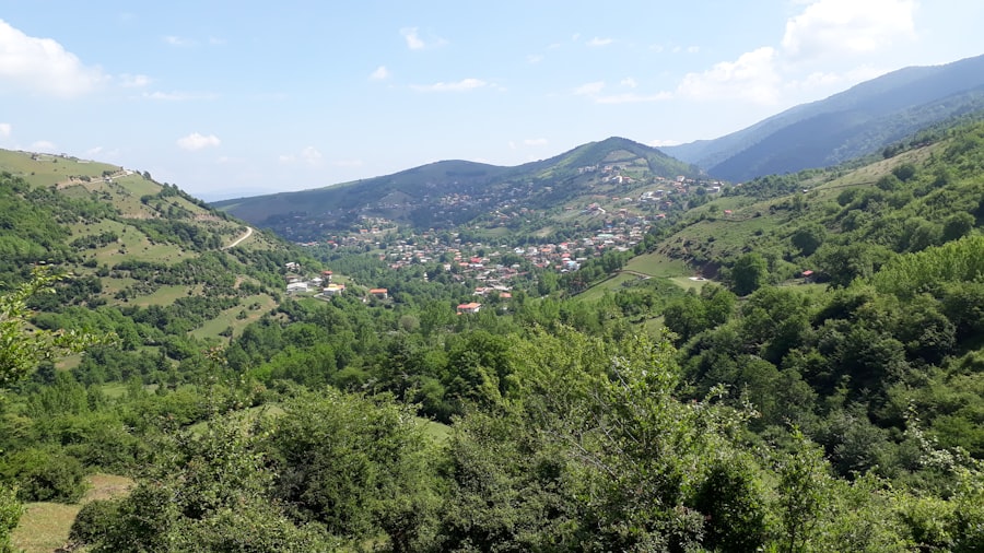Photo oamenii renunță