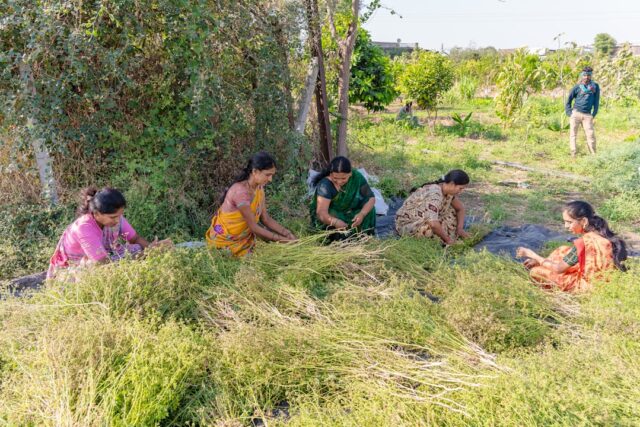 Photo rural youth support programs