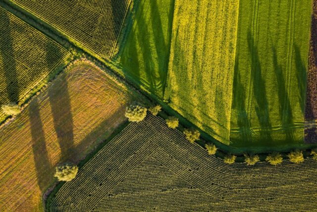 Photo agriculture
