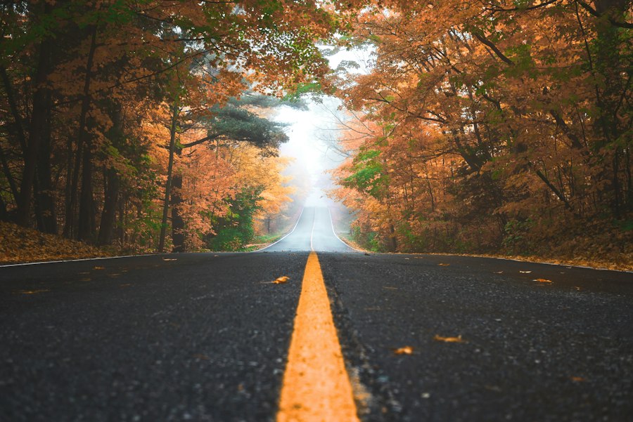 Photo quality roads